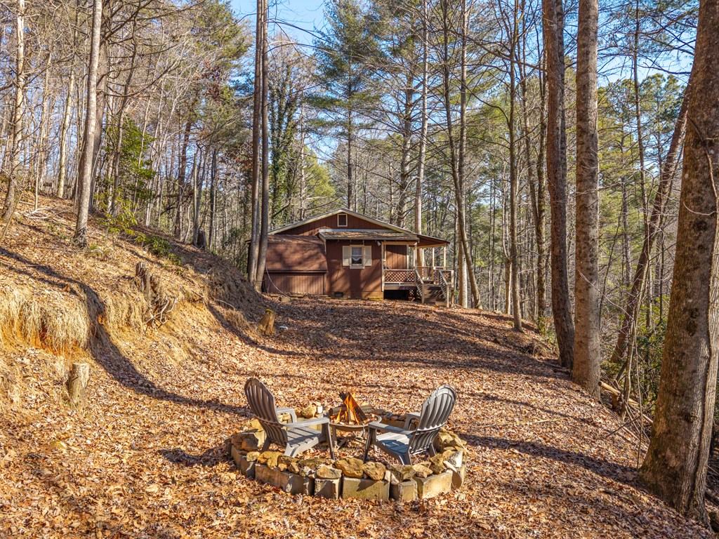 424901 Ellijay Residential