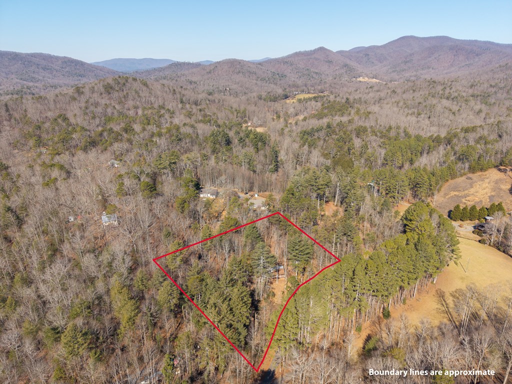 424901 Ellijay Residential