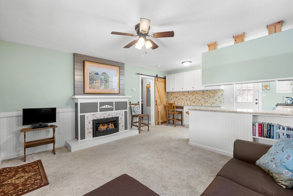 424901 Ellijay Residential