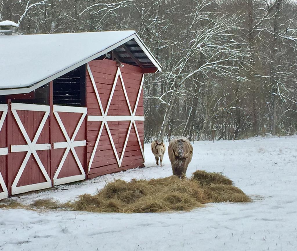 424905 Mineral Bluff Residential