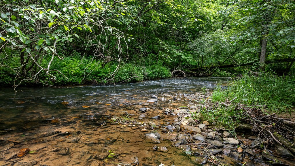 424905 Mineral Bluff Residential