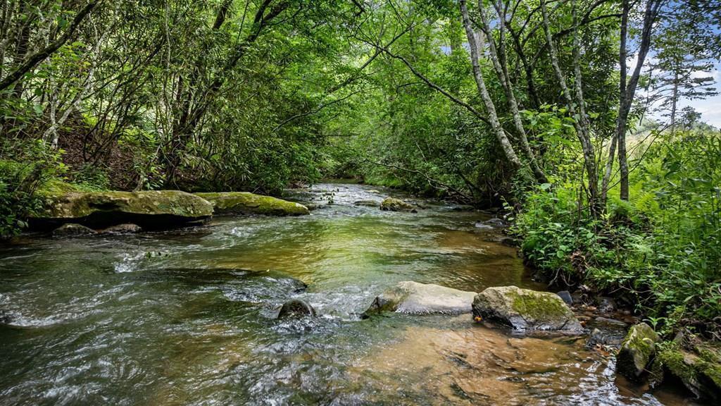 424905 Mineral Bluff Residential