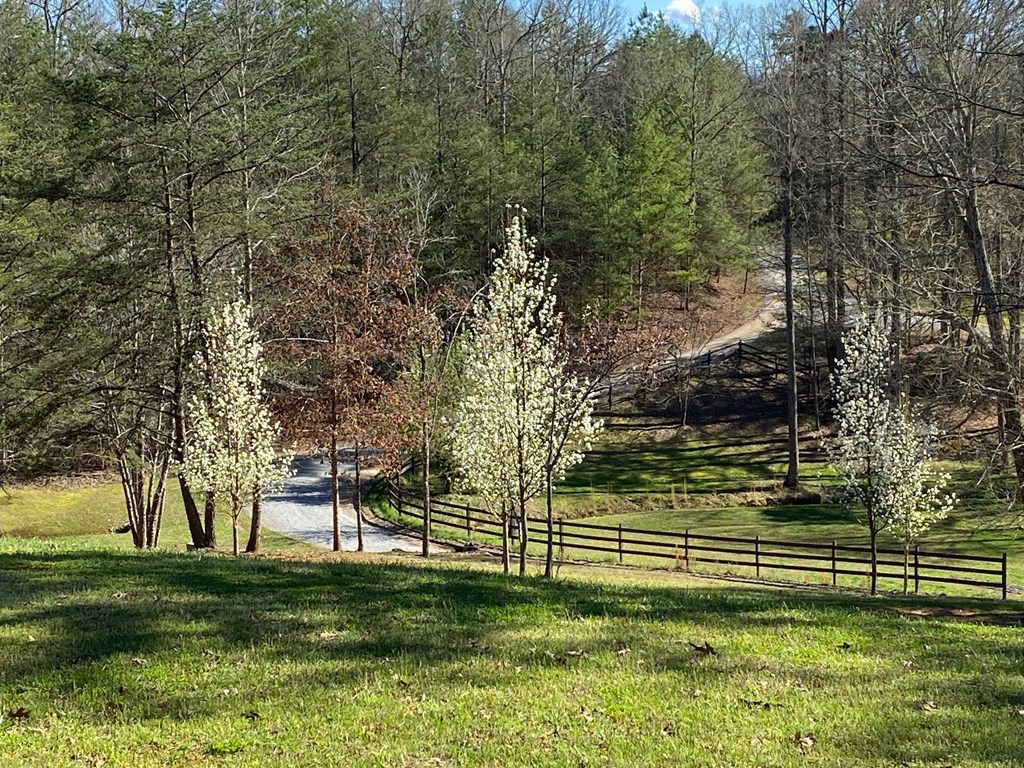 424906 Morganton Residential