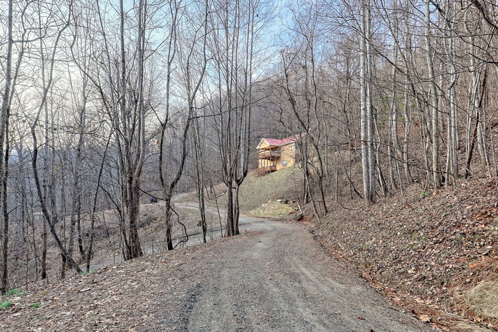 424912 Hayesville Residential