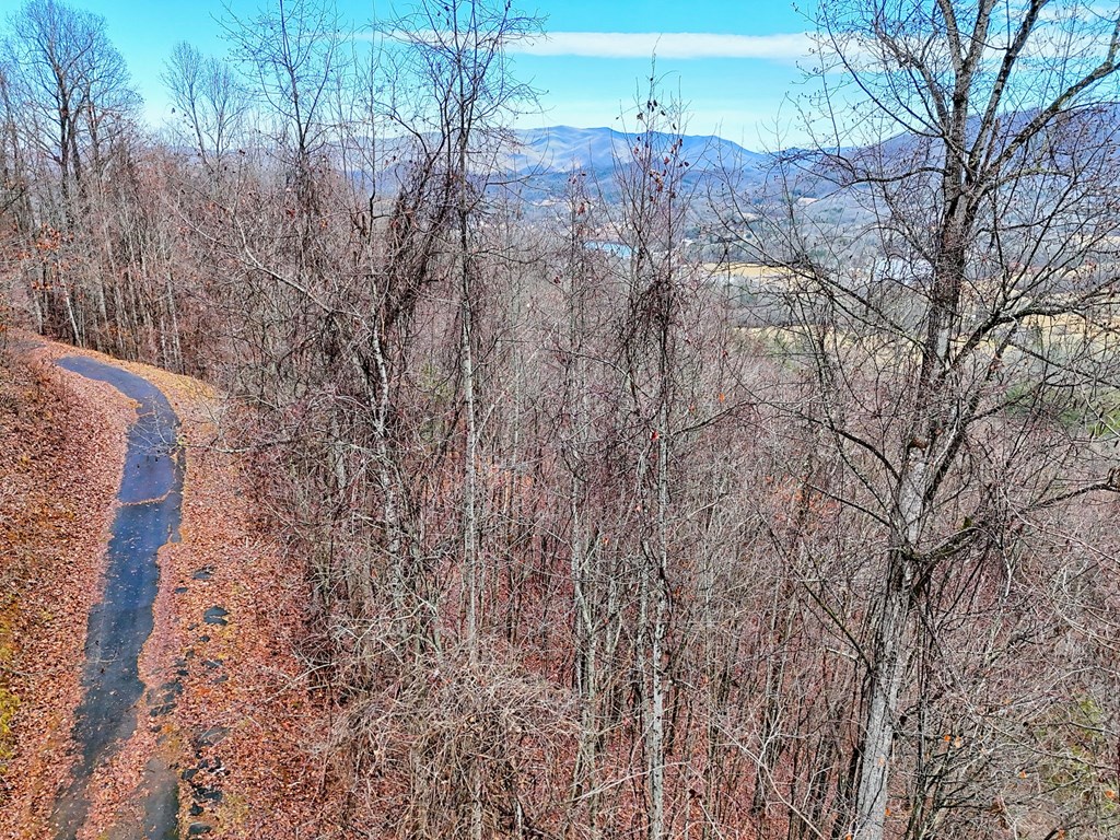 424912 Hayesville Residential