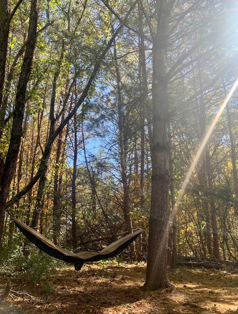 424928 Hayesville Residential