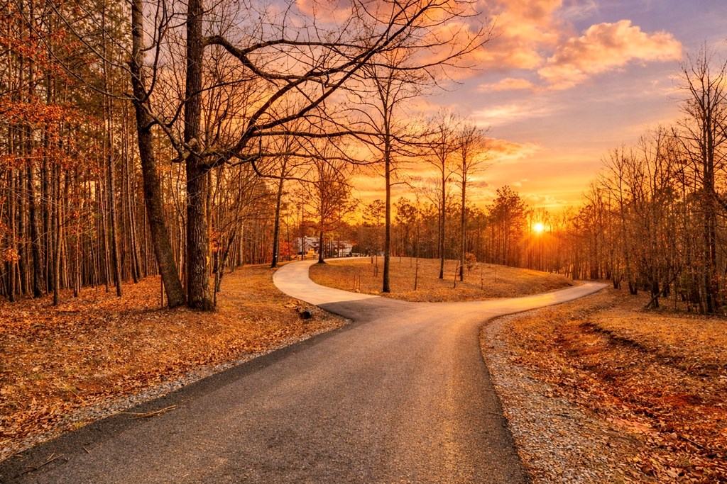 424929 Ellijay Residential