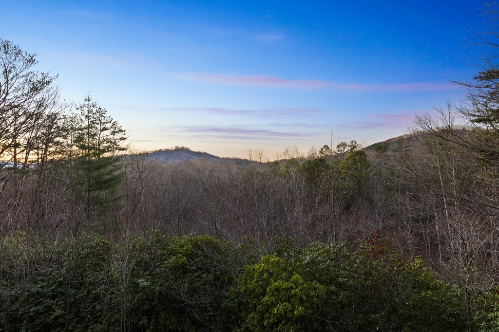 424931 Mineral Bluff Residential