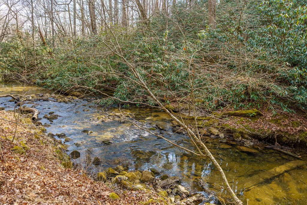 424942 Blue Ridge Residential