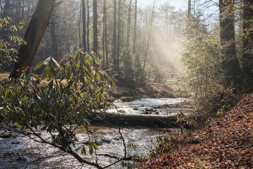 424948 Blue Ridge Residential