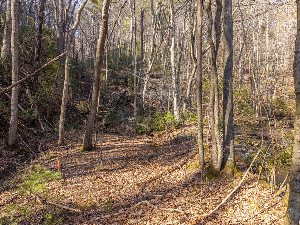 424952 Ellijay Residential