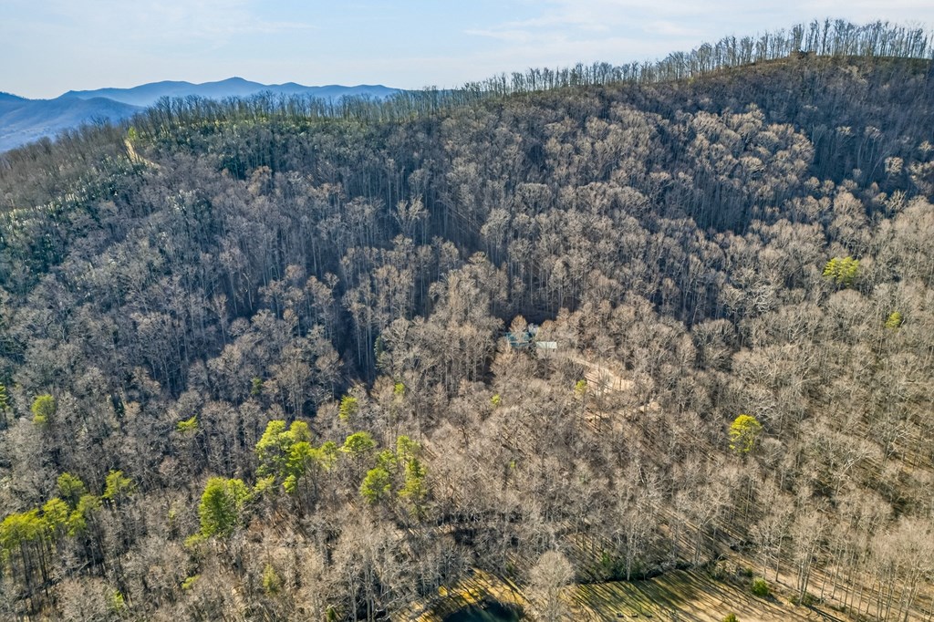 424981 Hiawassee Residential