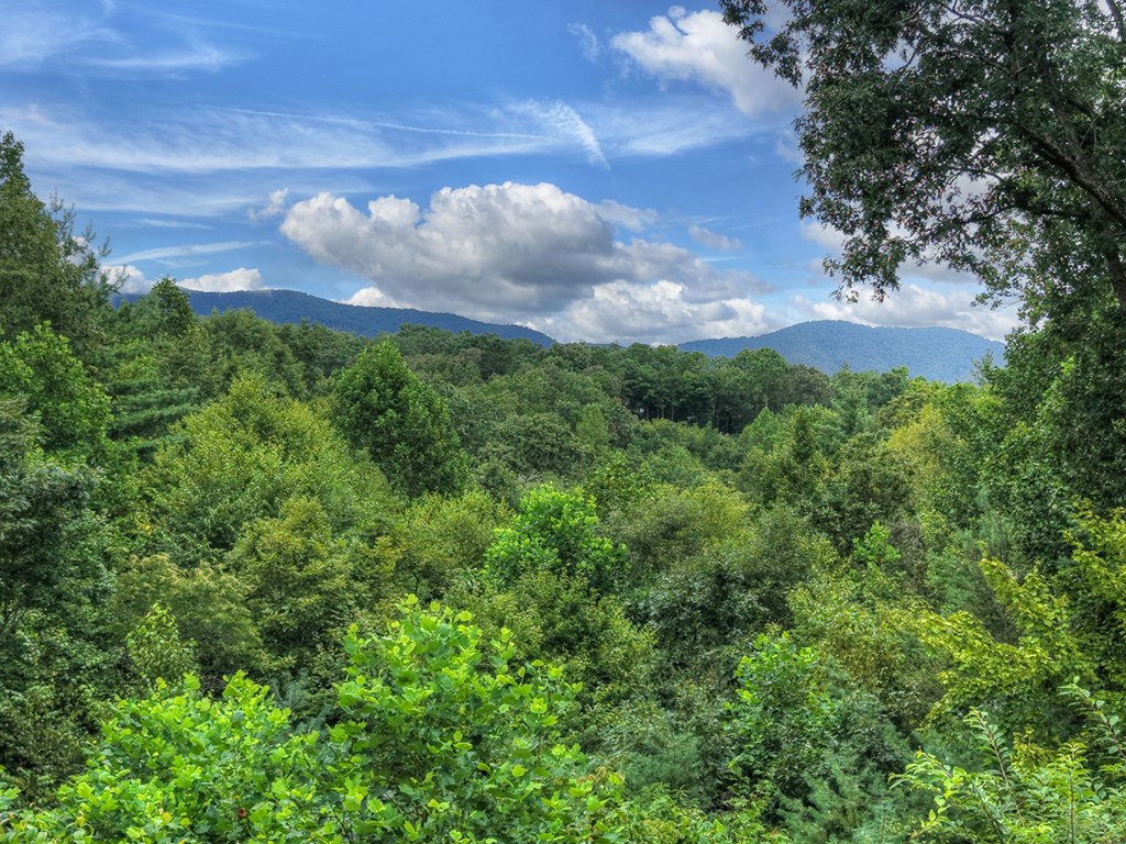 424982 Ellijay Residential