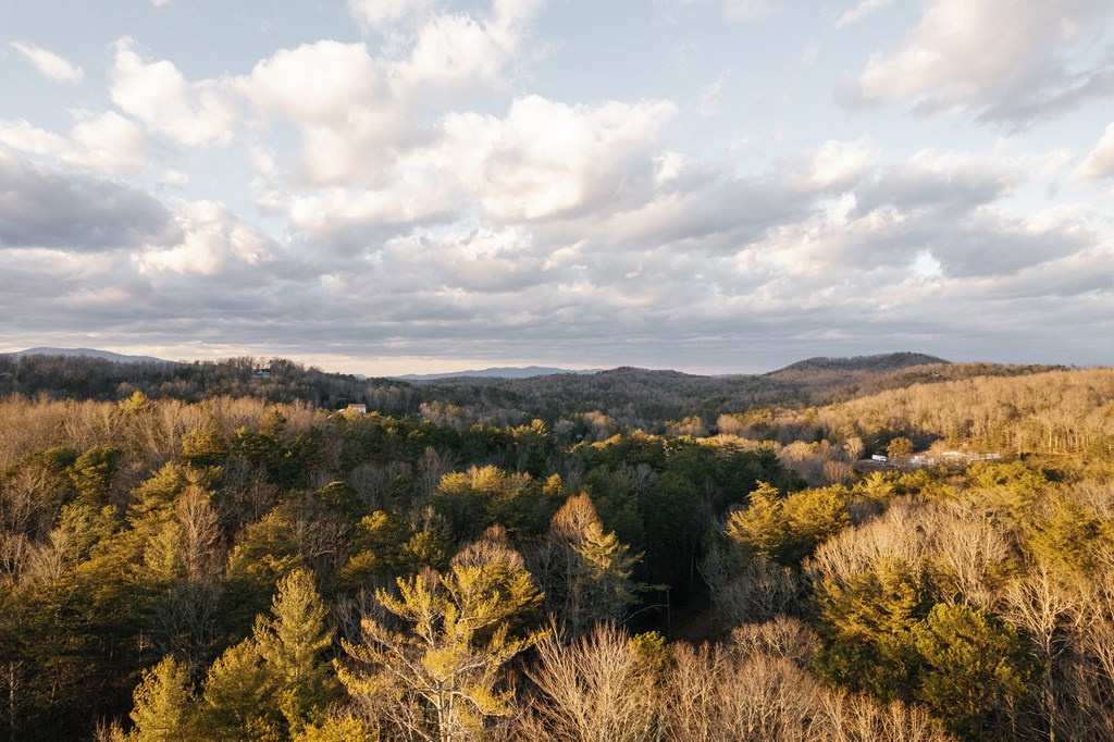 424985 Blue Ridge Residential