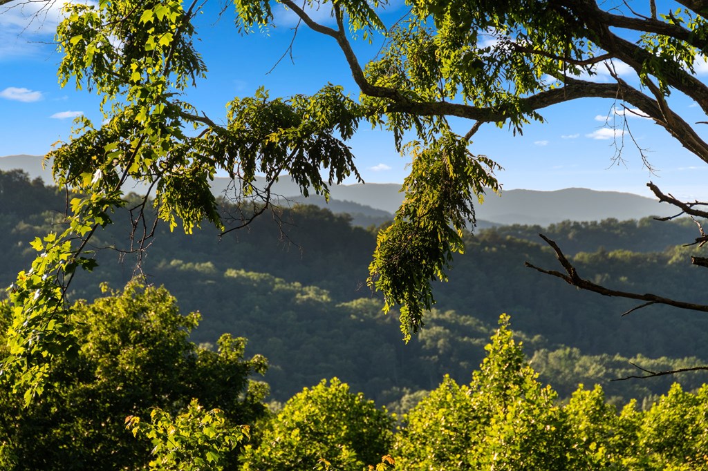 424994 Blue Ridge Residential