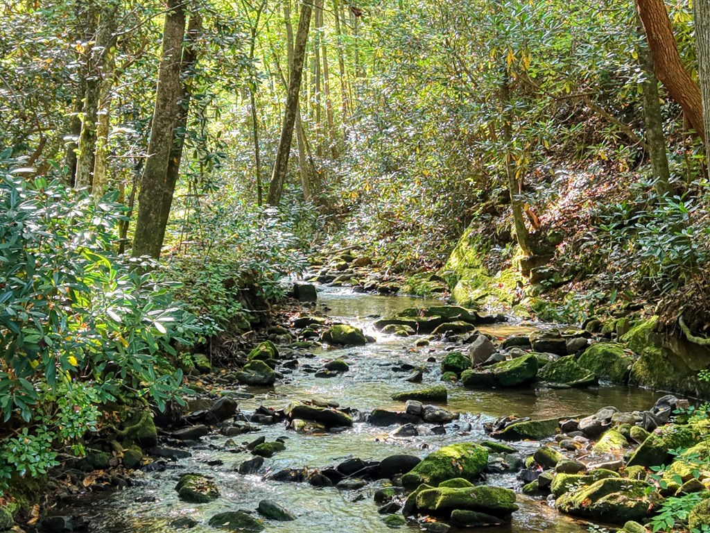 425000 Hiawassee Residential