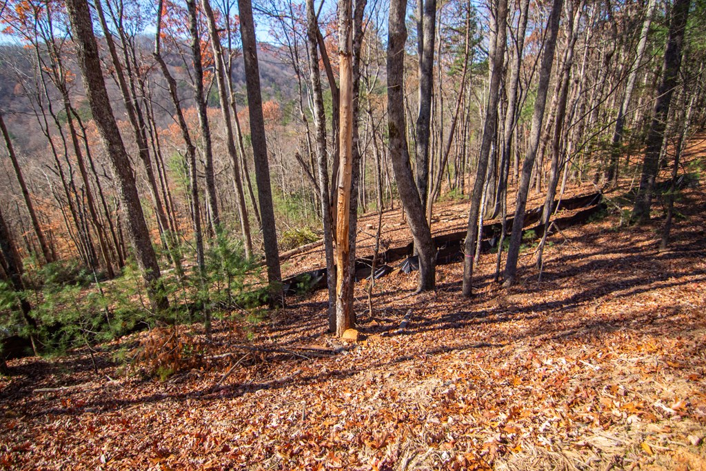 425015 Blue Ridge Residential