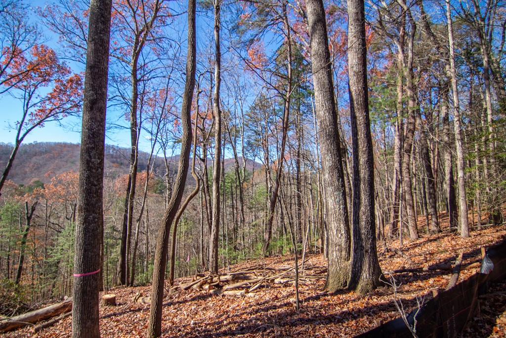 425015 Blue Ridge Residential