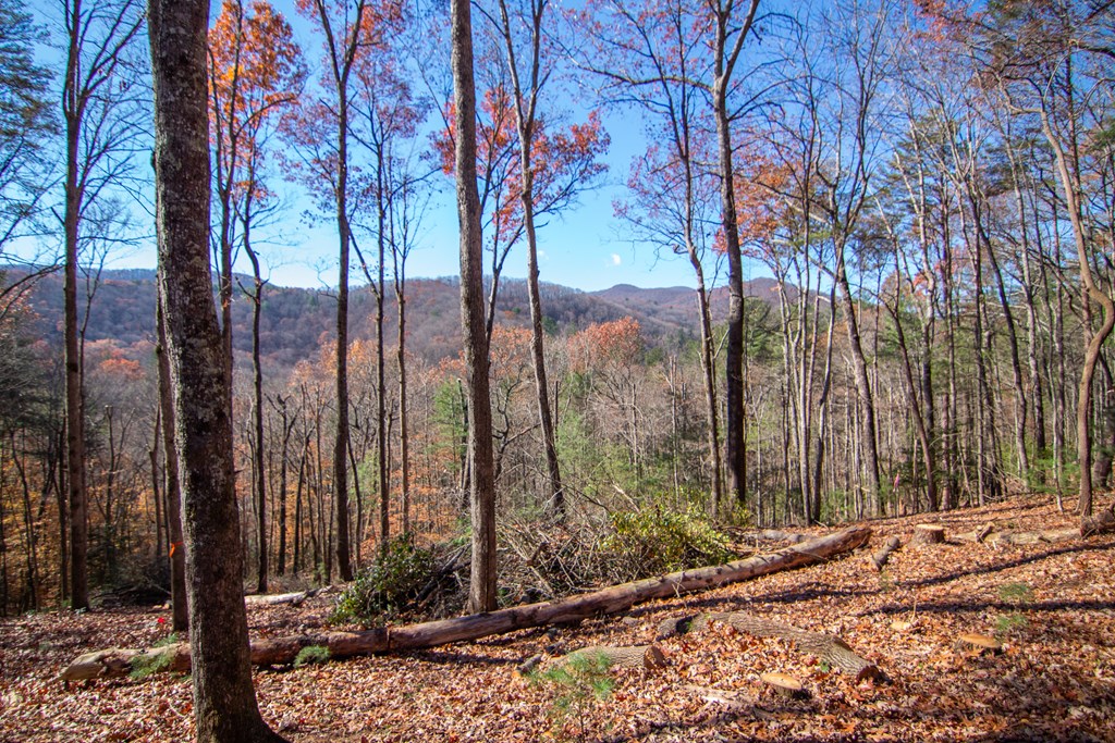 425015 Blue Ridge Residential