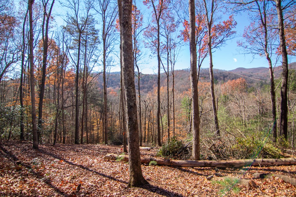 425015 Blue Ridge Residential