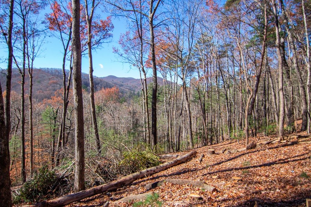 425015 Blue Ridge Residential