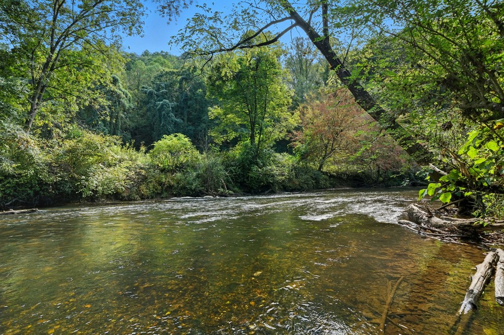 425017 Ellijay Residential