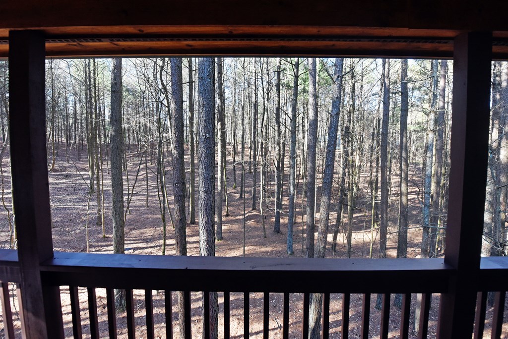 425025 Ellijay Residential