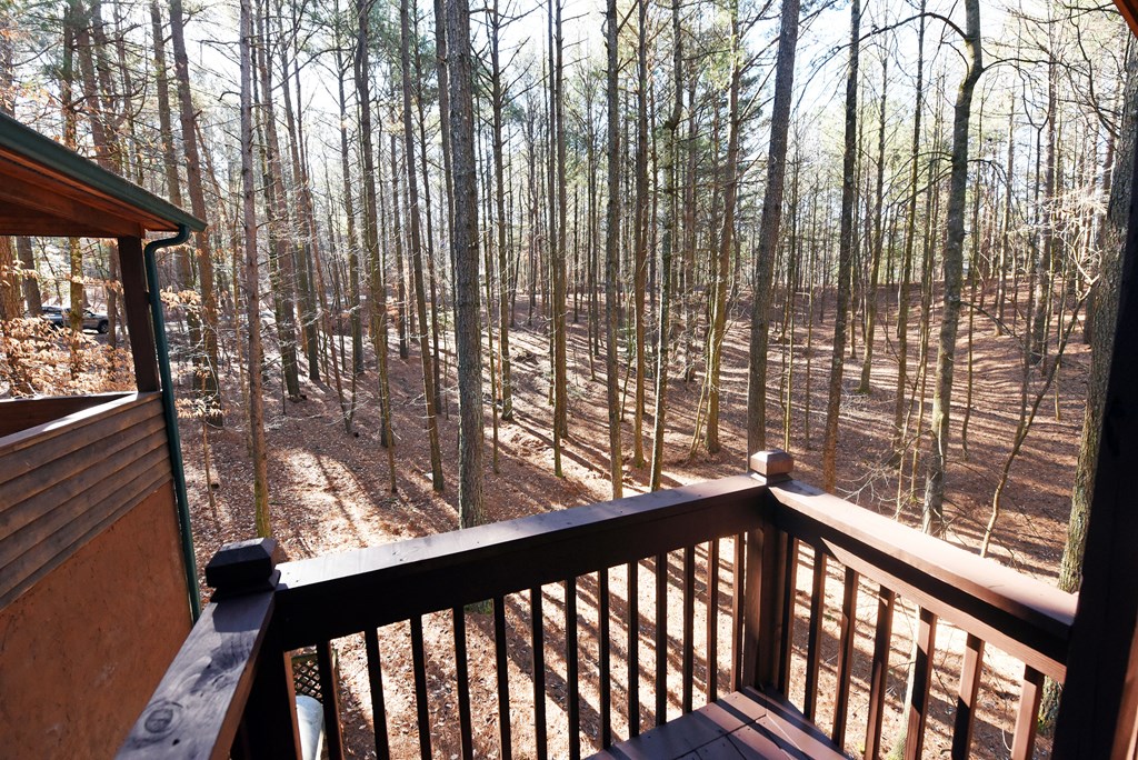 425025 Ellijay Residential