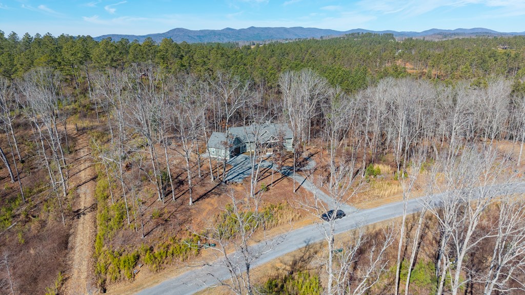 425048 Ellijay Residential