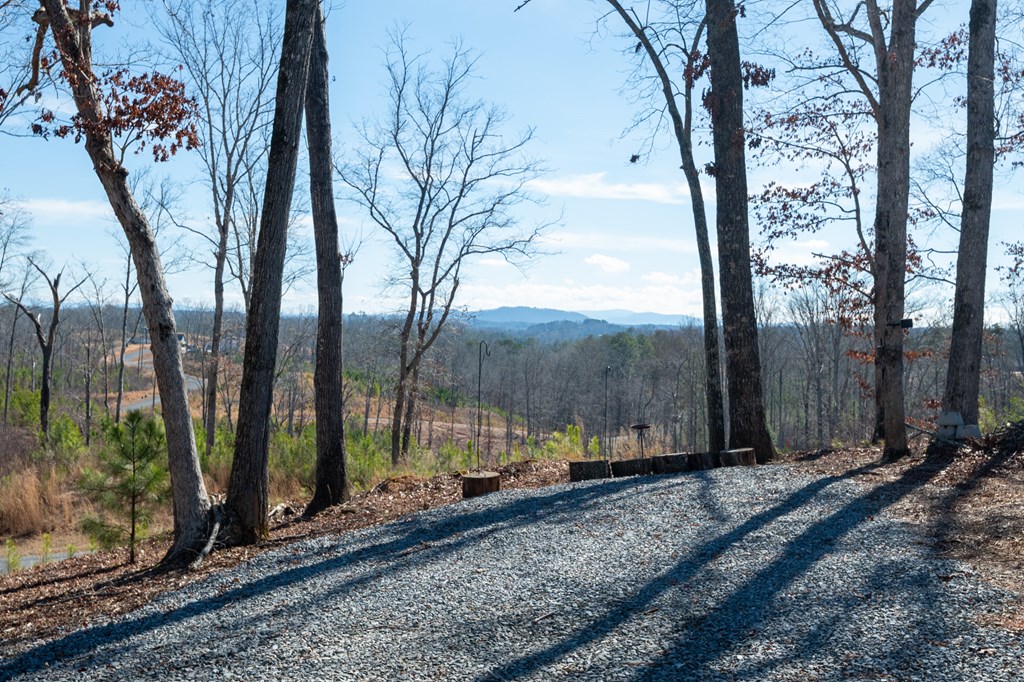 425048 Ellijay Residential