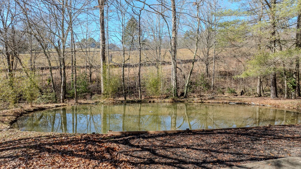 425074 Murphy Residential