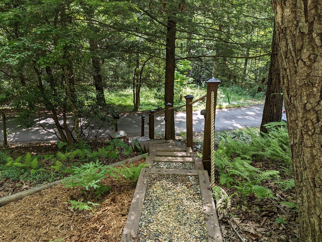 425091 Suches Residential