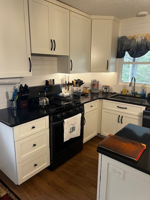 425091 Suches Residential