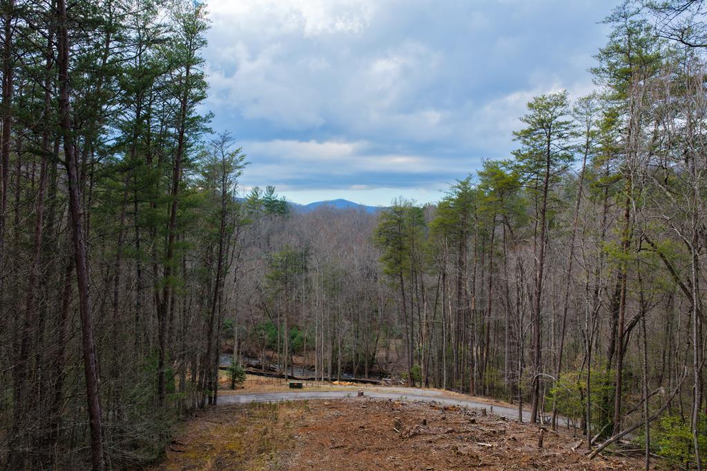 425134 Blue Ridge Residential