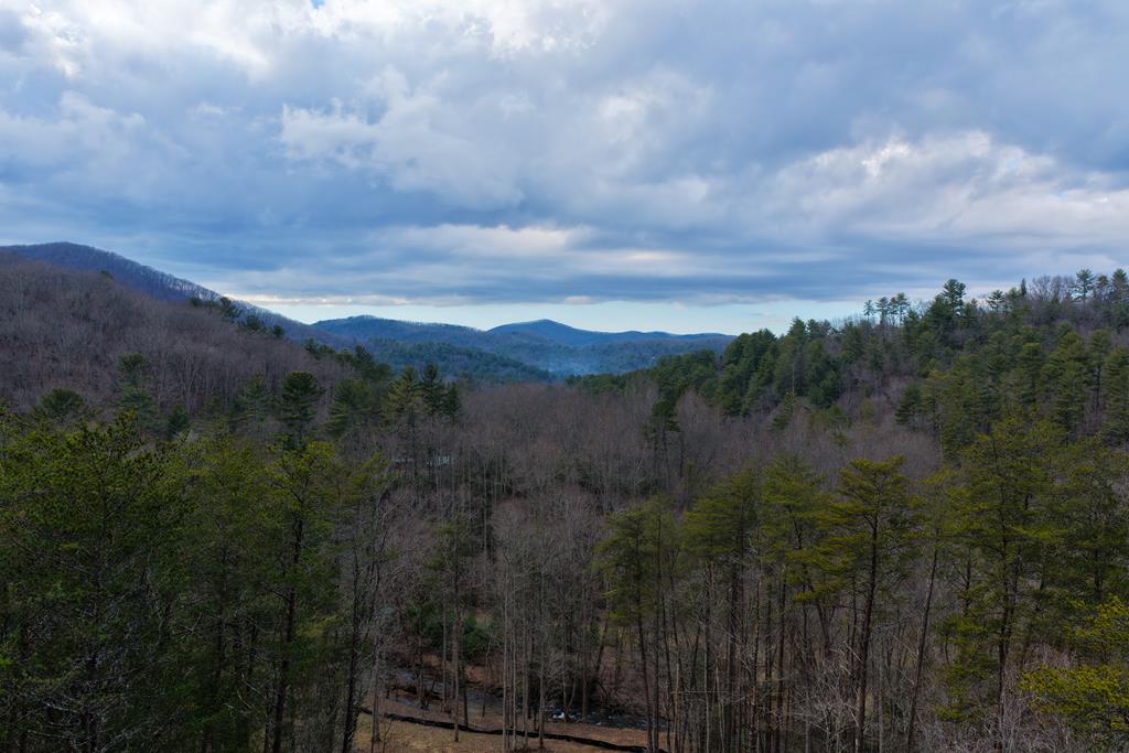 425134 Blue Ridge Residential