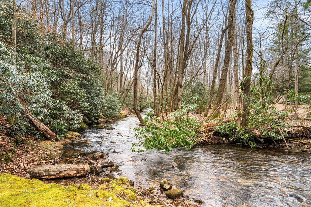 425145 Hayesville Residential