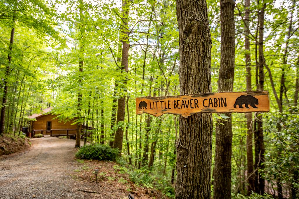 425184 Cherry Log Residential