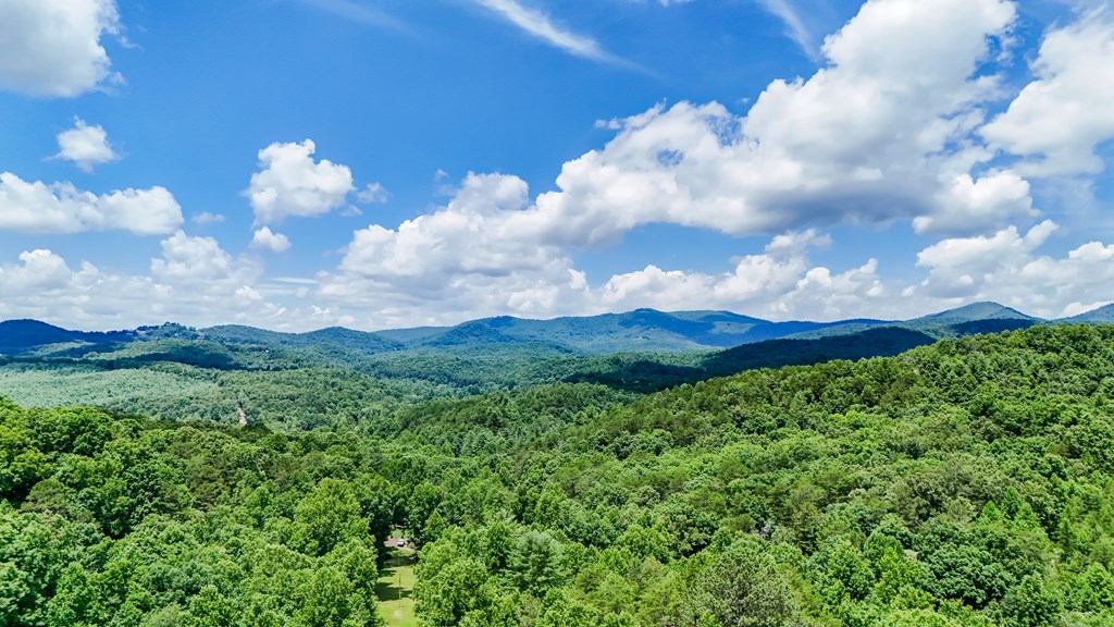 425189 Mineral Bluff Residential