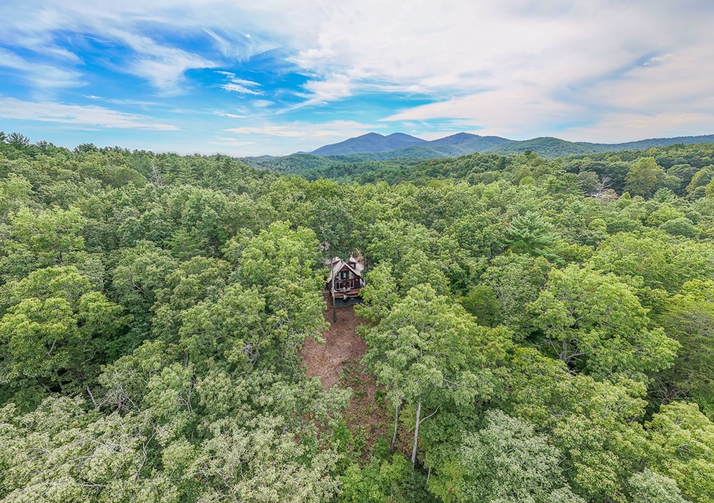 425195 Murphy Residential