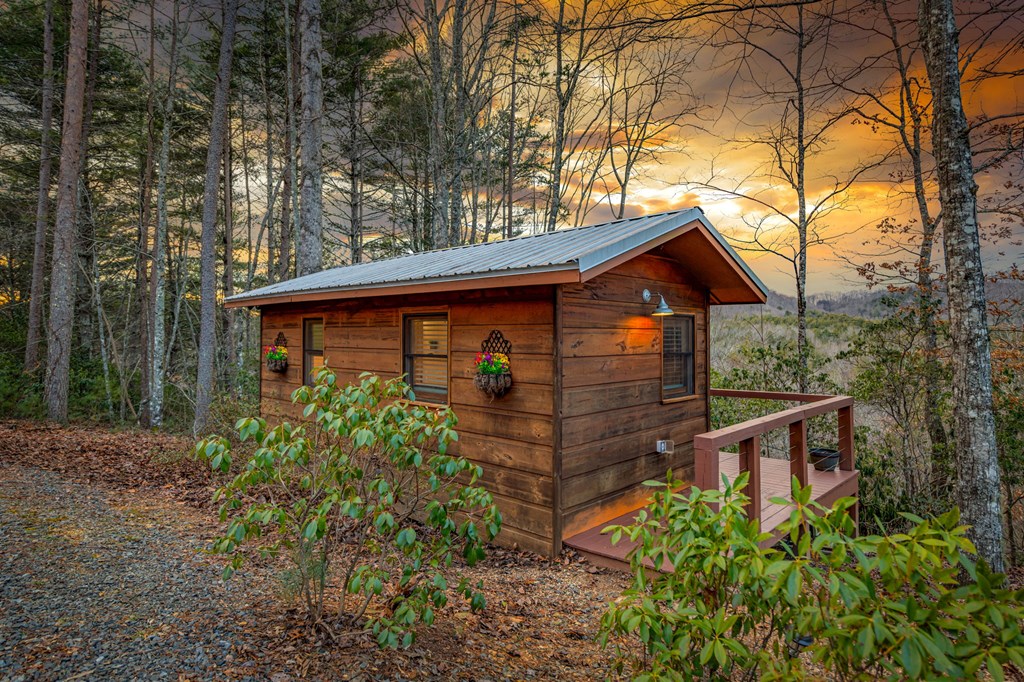 425204 Mineral Bluff Residential