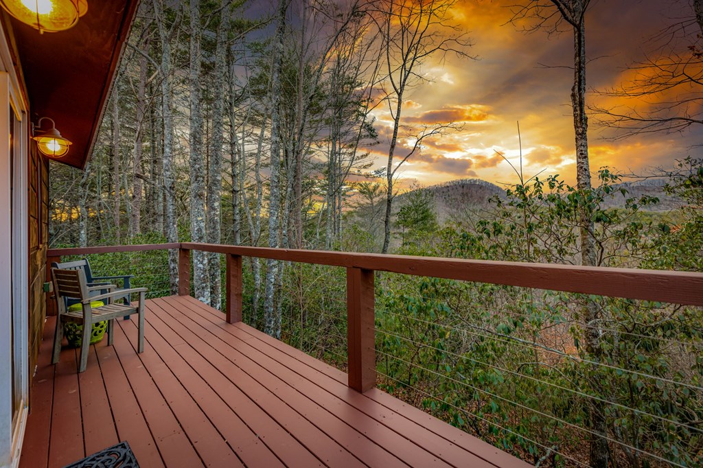 425204 Mineral Bluff Residential