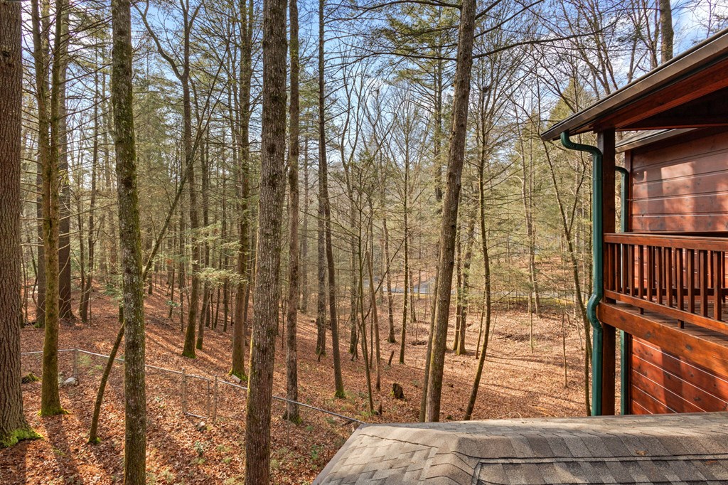 425210 Cherry Log Residential