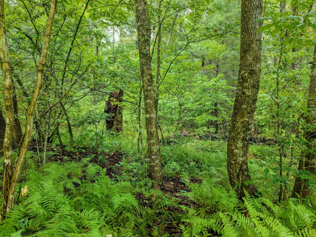 425216 Epworth Residential