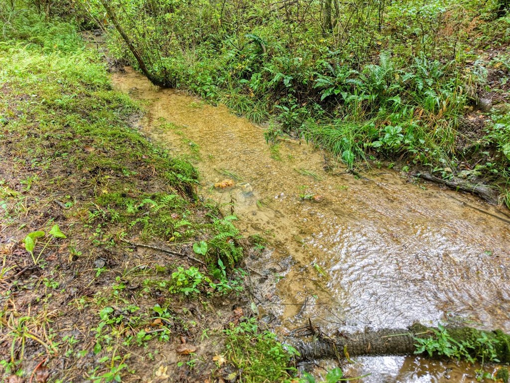 425216 Epworth Residential