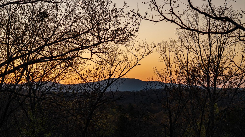 425229 Mineral Bluff Residential