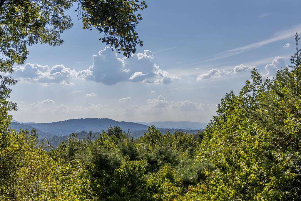 425231 Morganton Residential