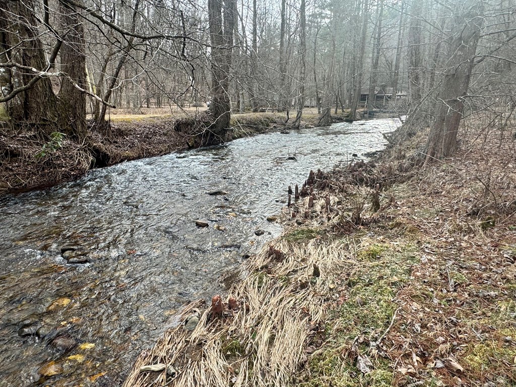 425233 Cherry Log Residential