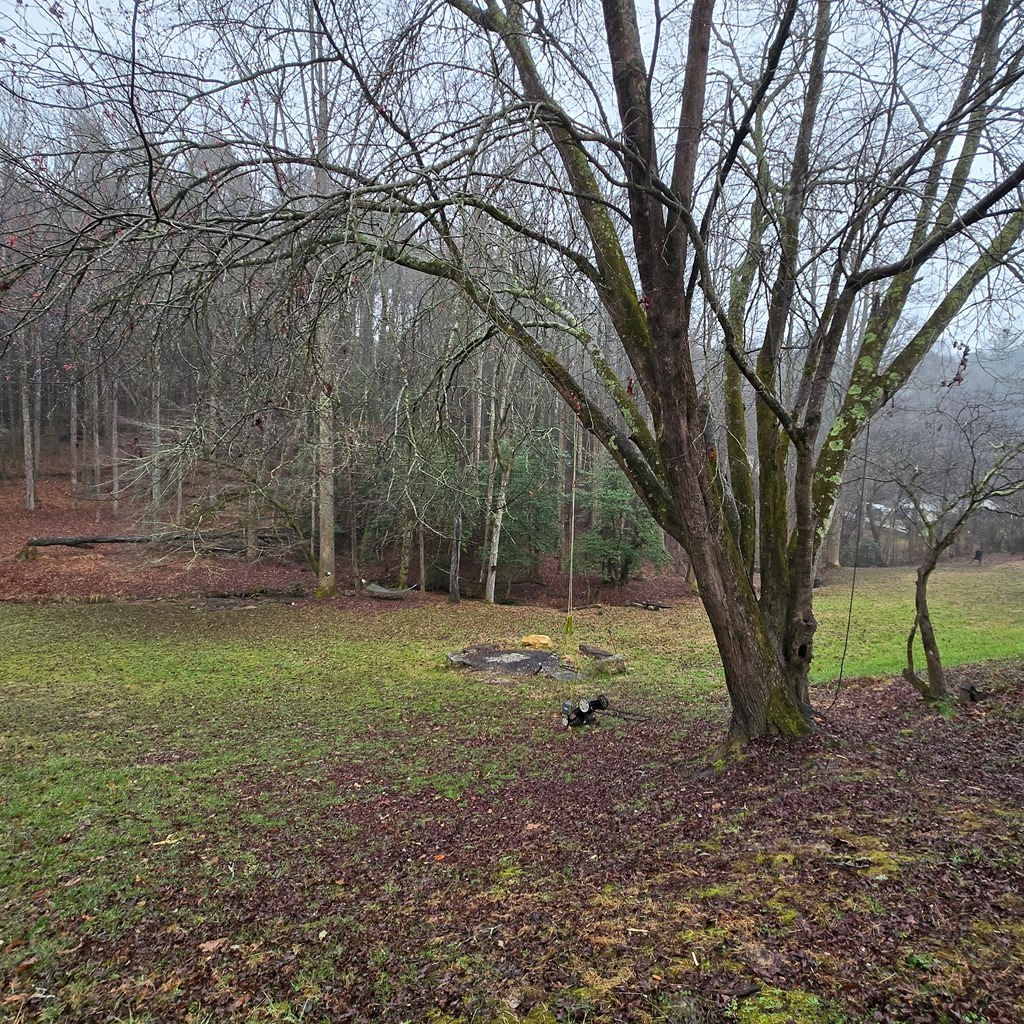 425242 Ellijay Residential