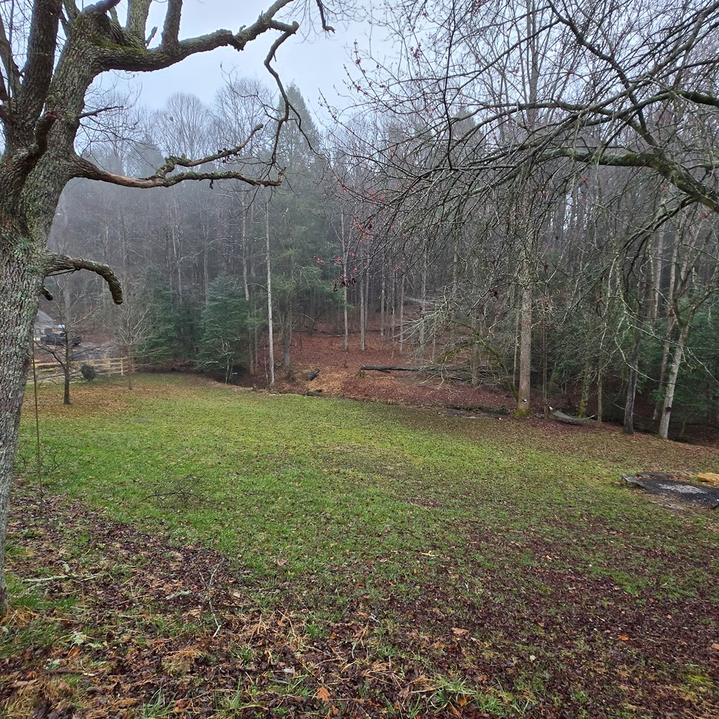 425242 Ellijay Residential