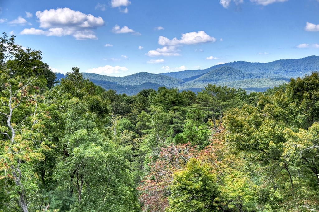 425251 Mineral Bluff Residential